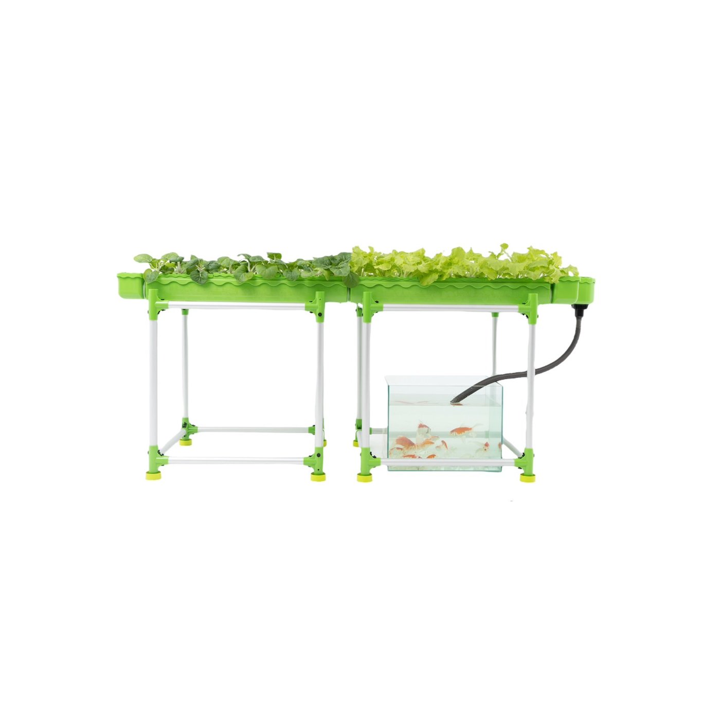 New Popular Agricultural Greenhouses Hydroponics System Suppliers