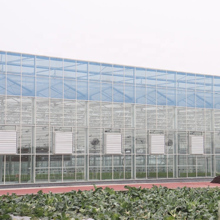 High quality solar controlled tempered thermal insulation glass, single and multiple water-cooled greenhouse