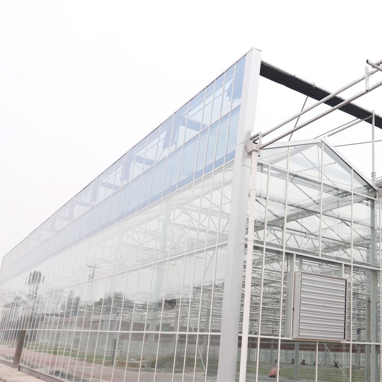 High quality solar controlled tempered thermal insulation glass, single and multiple water-cooled greenhouse