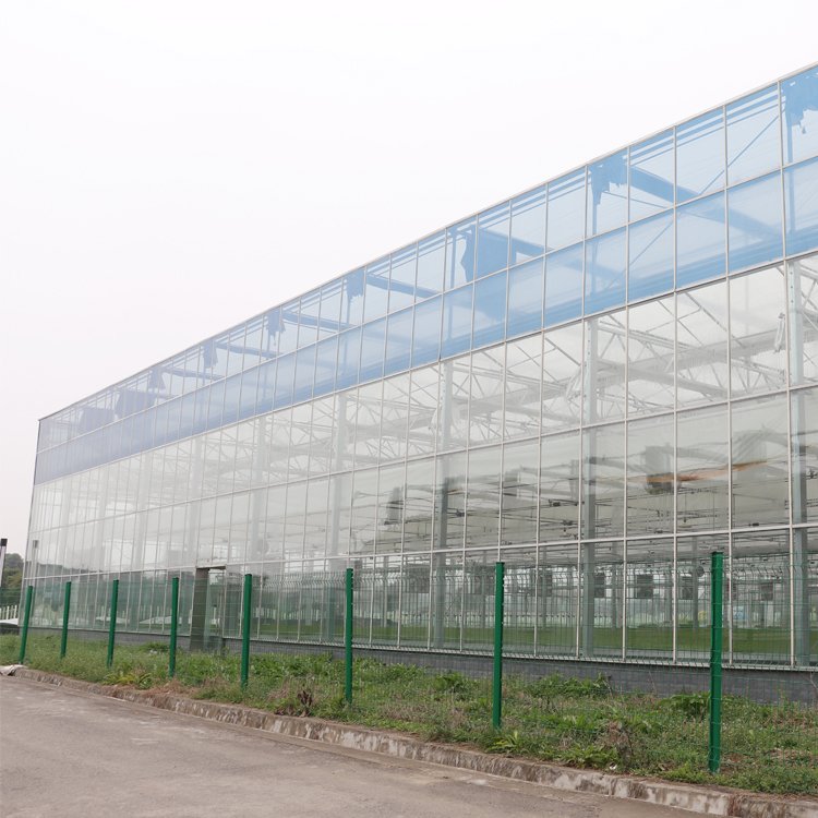 High quality solar controlled tempered thermal insulation glass, single and multiple water-cooled greenhouse