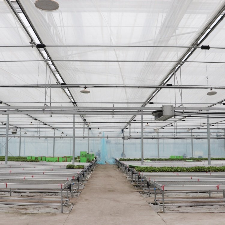 High quality solar controlled tempered thermal insulation glass, single and multiple water-cooled greenhouse