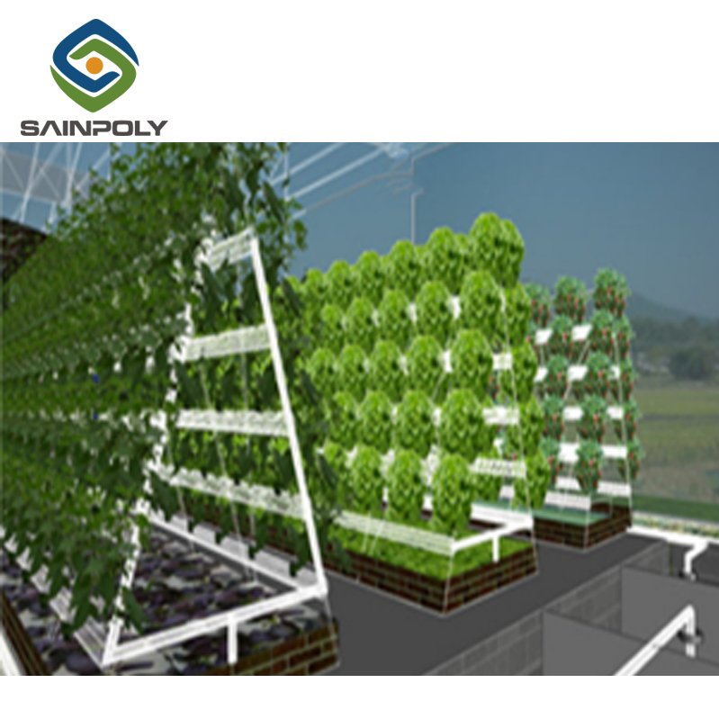 China Supplier Hydroponic Greenhouse For Agriculture