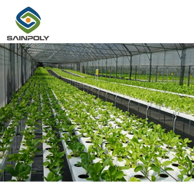 China Supplier Hydroponic Greenhouse For Agriculture