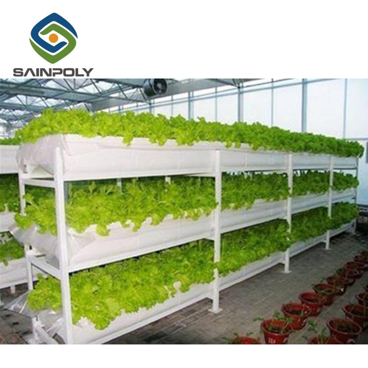 China Supplier Hydroponic Greenhouse For Agriculture