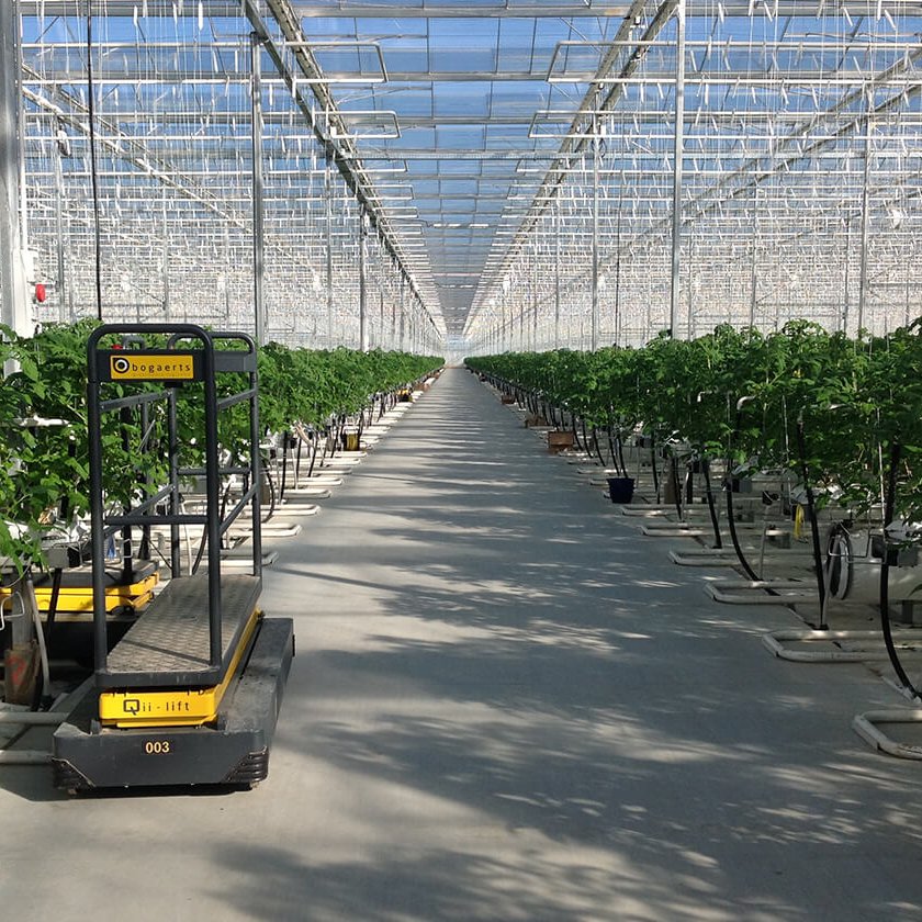 Multi span film greenhouse low-cost turnkey project factory direct supply