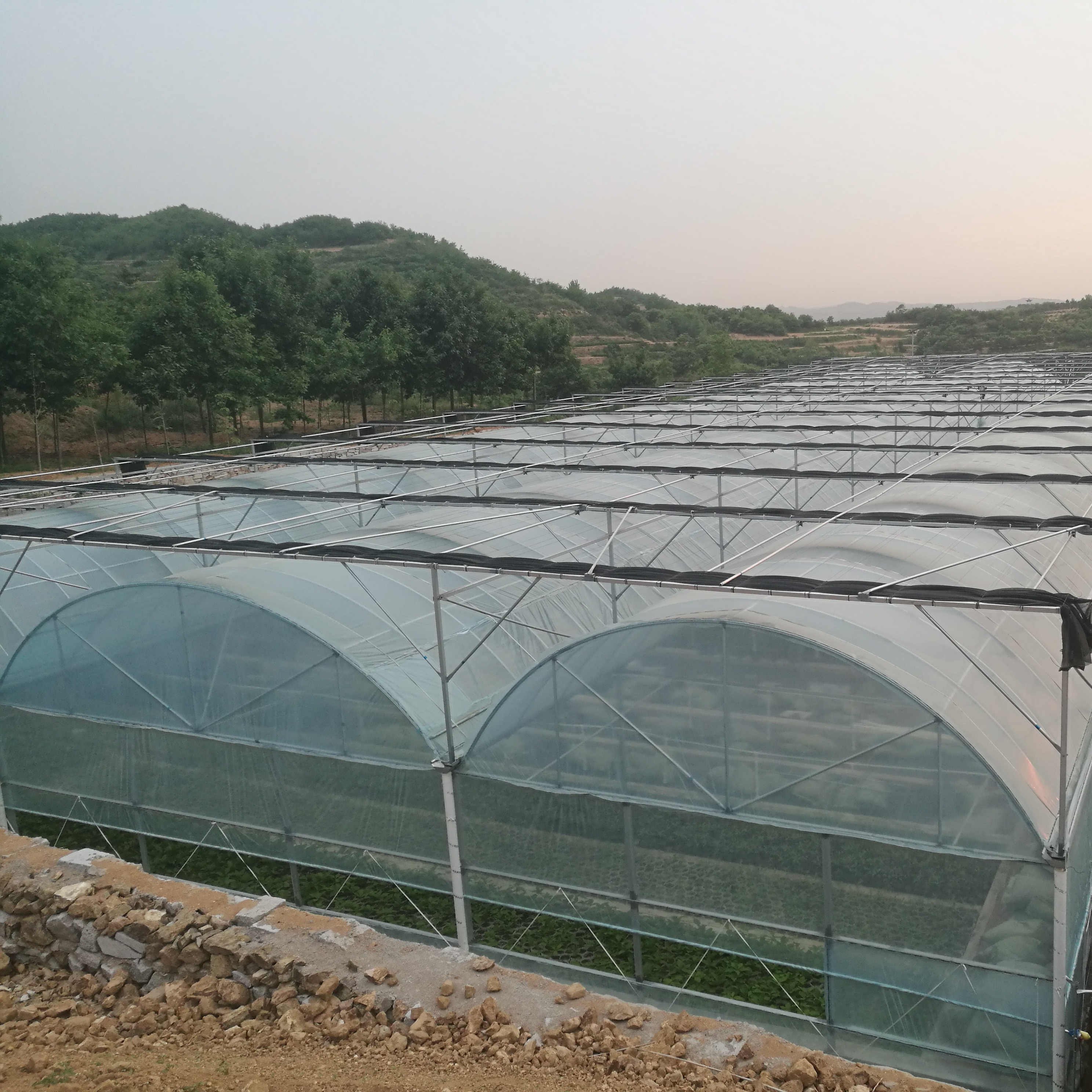 Multi span film greenhouse low-cost turnkey project factory direct supply