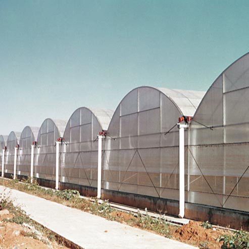 Multi span film greenhouse low-cost turnkey project factory direct supply
