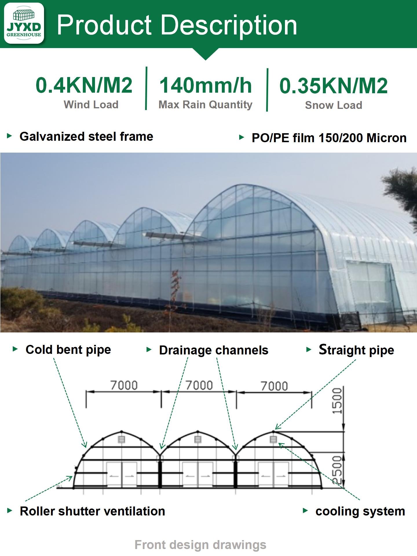 Large Plants Growing High Tunnel Multi Span Plastic Shed Film greenhouse multitunnel Multi-span Greenhouses For Agriculture