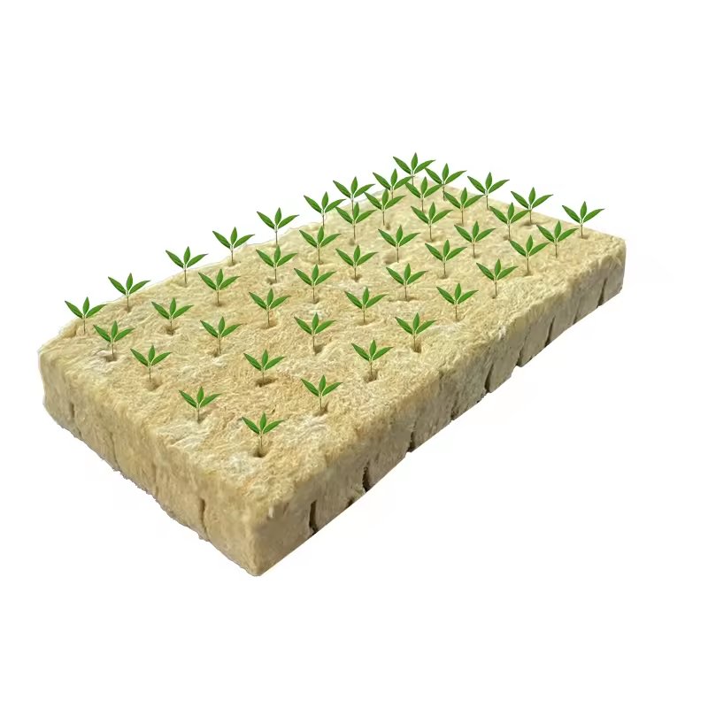 Agricultural Greenhouses Use 25*25*30MM Rock Wool Cubes for Optimal Plant Growth
