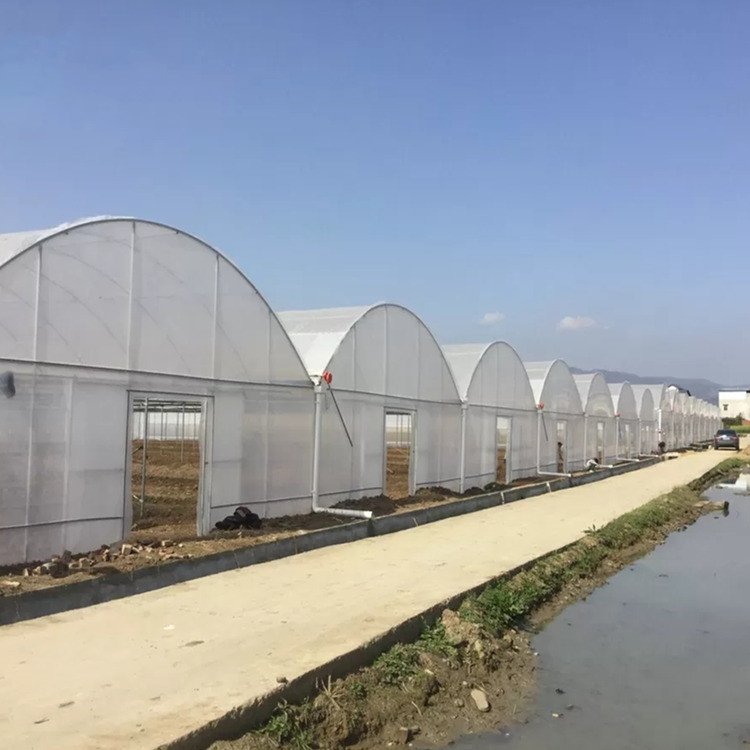 Cheap Agricultural Greenhouse Plastic Film Cover Low Cost Economic Tunnel Greenhouse for Vegetable hydroponic System