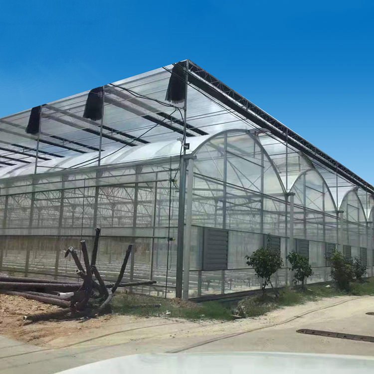 Hot Sale Large Manual or Theme Thermal Curtain Greenhouse Plastic Film Sheet Greenhouse with Tomato Growing System