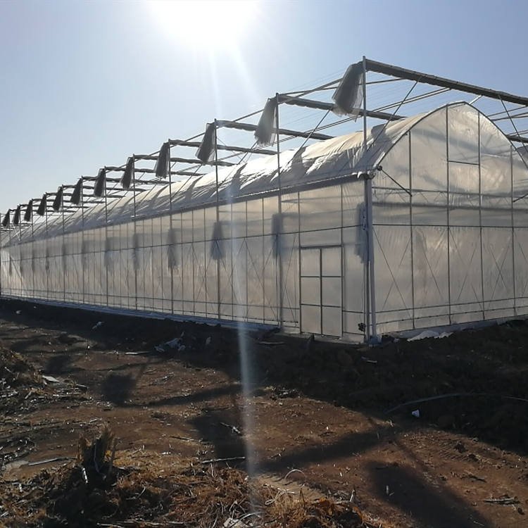 Hot Sale Large Manual or Theme Thermal Curtain Greenhouse Plastic Film Sheet Greenhouse with Tomato Growing System