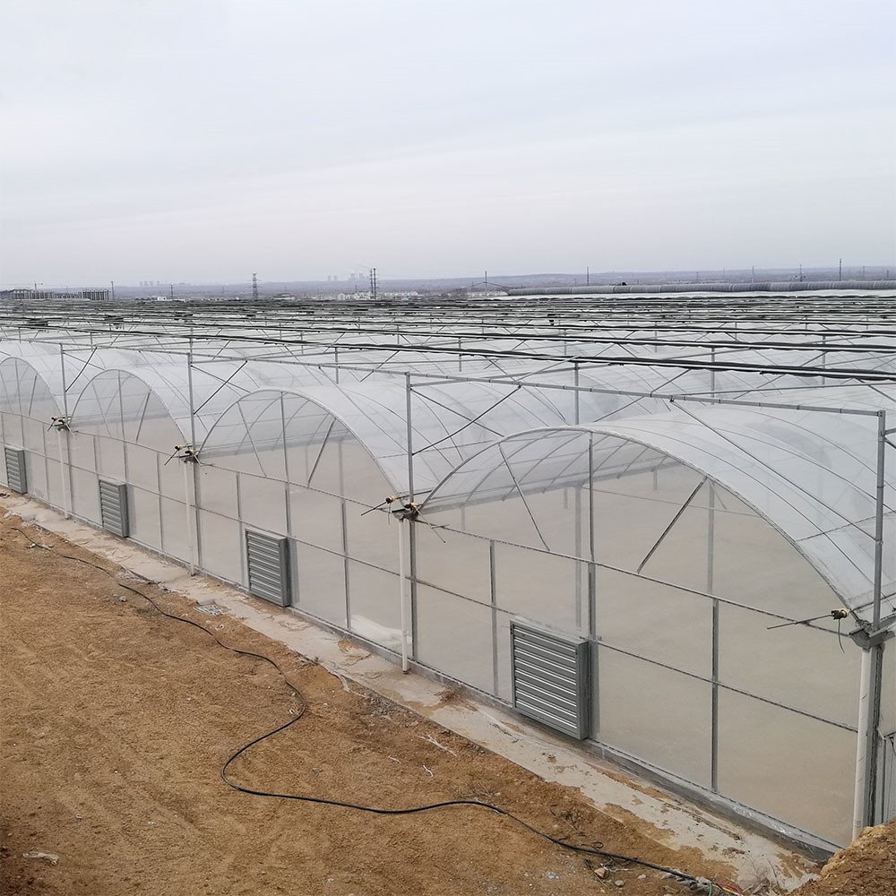 Hot Sale Large Manual or Theme Thermal Curtain Greenhouse Plastic Film Sheet Greenhouse with Tomato Growing System