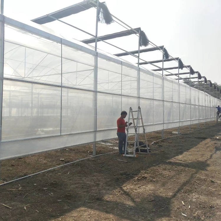 Hot Sale Large Manual or Theme Thermal Curtain Greenhouse Plastic Film Sheet Greenhouse with Tomato Growing System