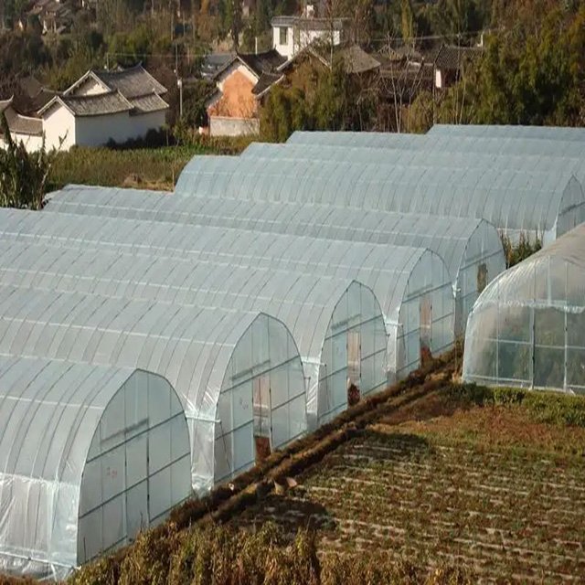 Small agricultural equipment greenhouse tunnel greenhouse for vegetable