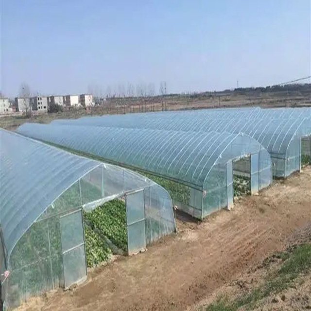 Small agricultural equipment greenhouse tunnel greenhouse for vegetable