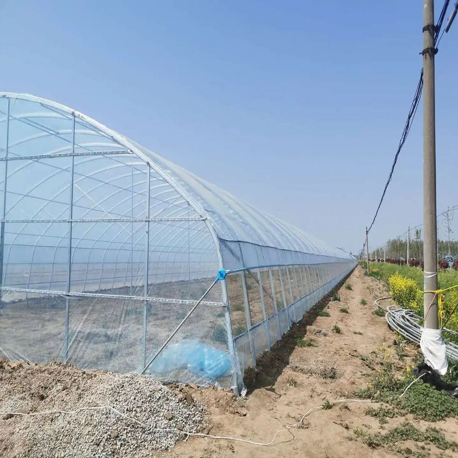 Small agricultural equipment greenhouse tunnel greenhouse for vegetable