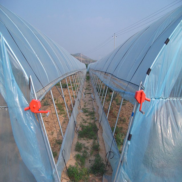 Small agricultural equipment greenhouse tunnel greenhouse for vegetable