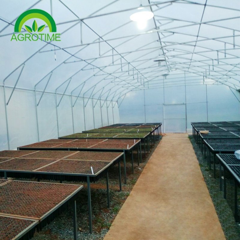 tropical greenhouse growing Commercial Greenhouse Filmes Polycarbonate agricultural green house