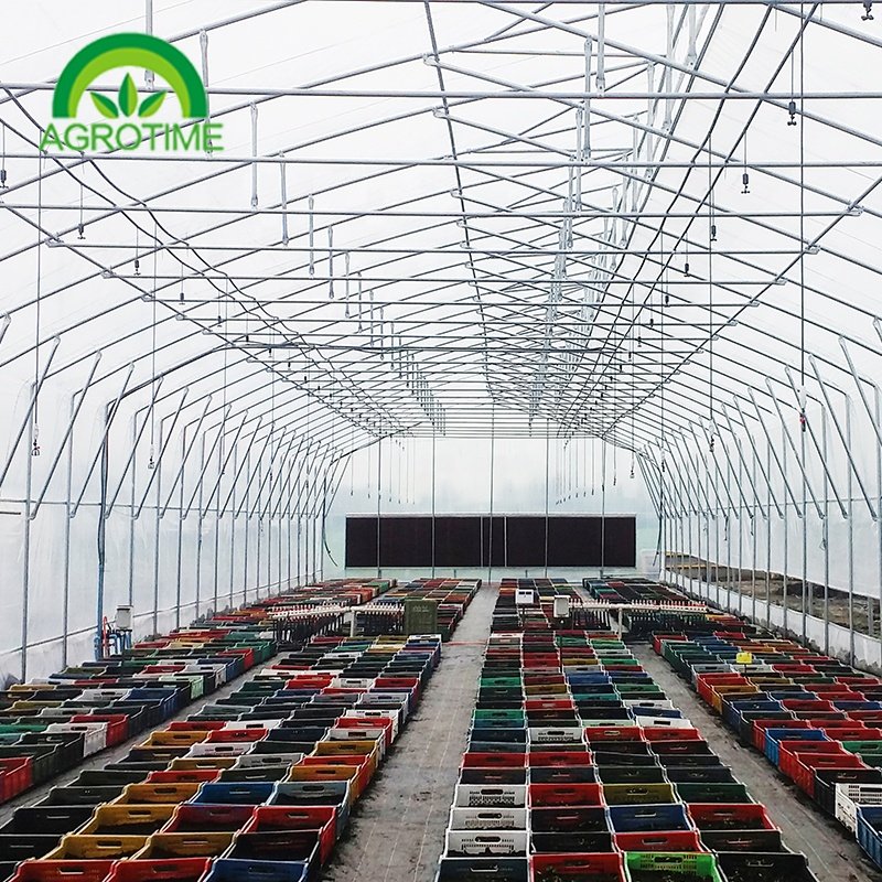 tropical greenhouse growing Commercial Greenhouse Filmes Polycarbonate agricultural green house
