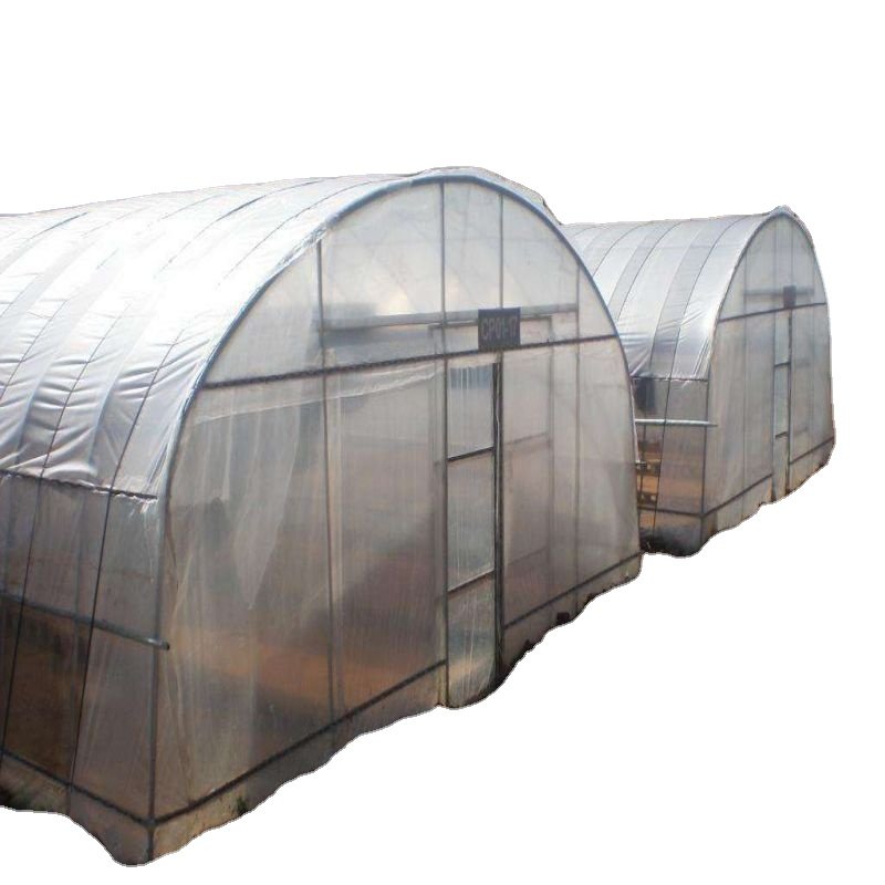 Easy to install green house metal frame agricultural plants growing tomato strawberry mushroom green house for sale