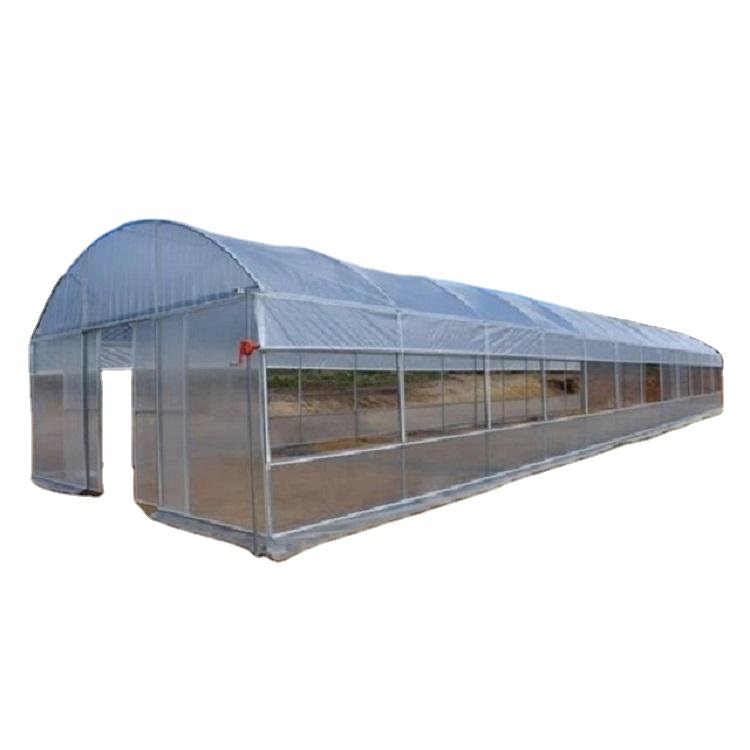 Easy to install green house metal frame agricultural plants growing tomato strawberry mushroom green house for sale