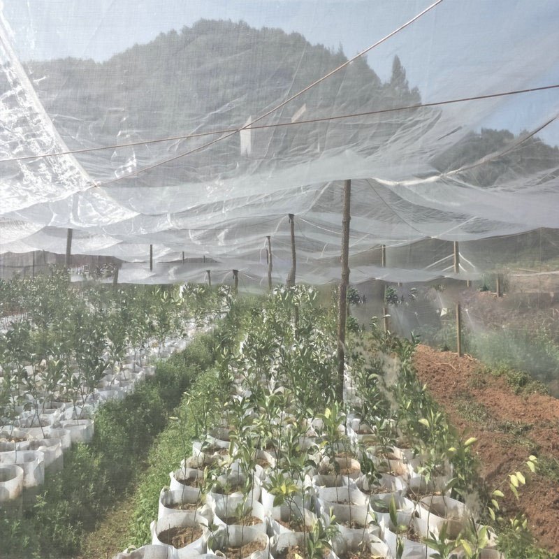 Pest Barrier Netting Protecting Tree Plants Vegetable Flower Fruits Row Cover Raised Bed Screen Mesh Greenhouse Mosquito Net OEM