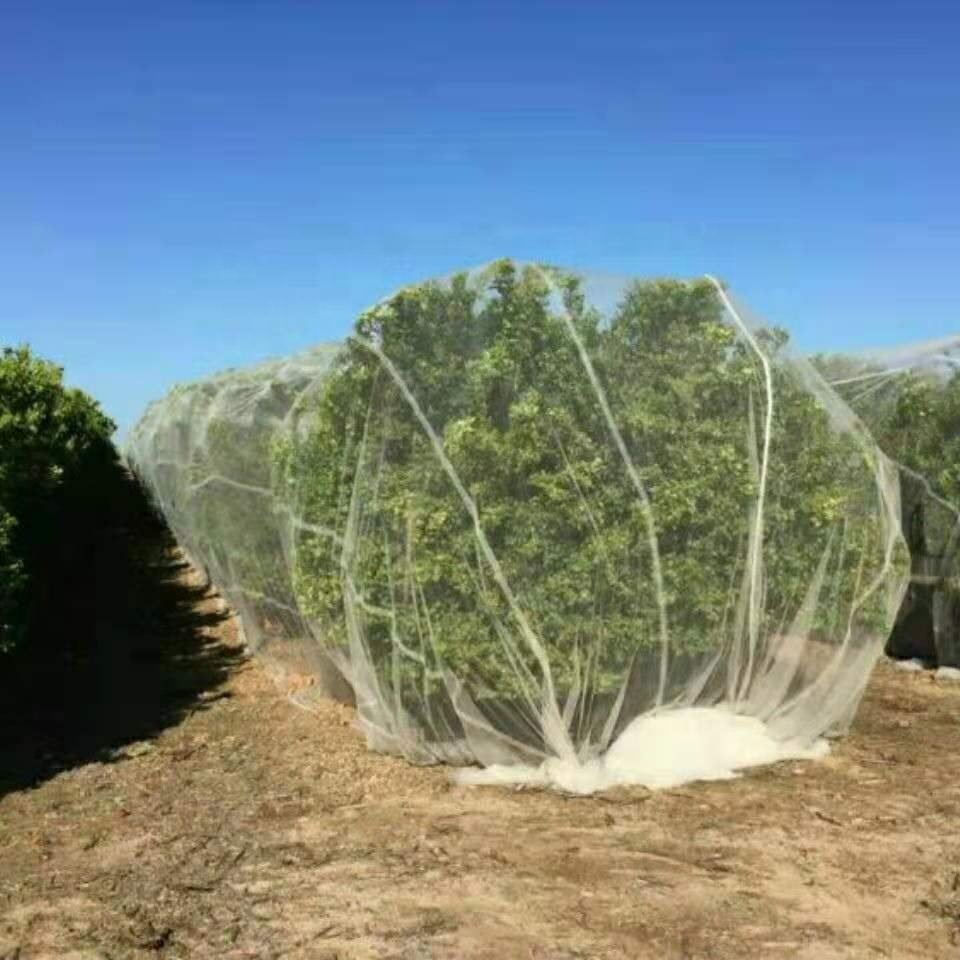 Pest Barrier Netting Protecting Tree Plants Vegetable Flower Fruits Row Cover Raised Bed Screen Mesh Greenhouse Mosquito Net OEM