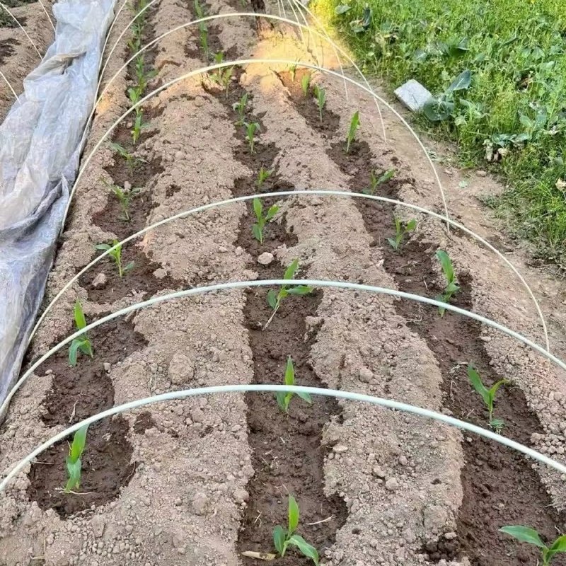 Customized greenhouse tunnel plant frame, fiberglass support plant piles, can be used for tree and fruit seedling cultivation.