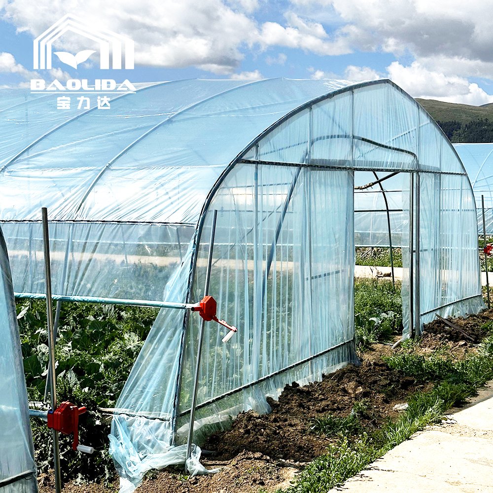 Agriculture plants growing tunnel greenhouse sale online 20m tunnel single-span greenhouse