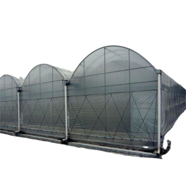 Farming Agriculture Greenhouse Structure Smart Greenhouse Multispan Greenhouses