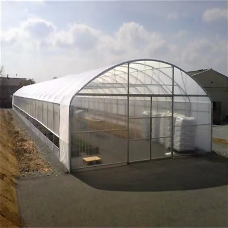 Galvanized Steel Low Cost Tunnel Frame Single Span Film Greenhouse serre agricole