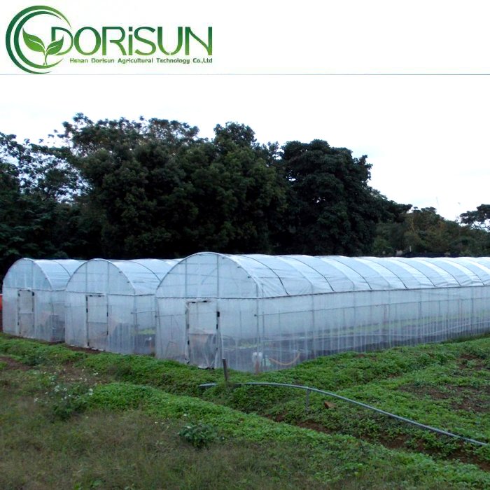 Galvanized Steel Low Cost Tunnel Frame Single Span Film Greenhouse serre agricole