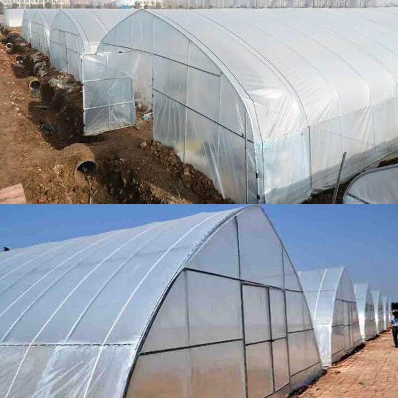 Galvanized Steel Low Cost Tunnel Frame Single Span Film Greenhouse serre agricole