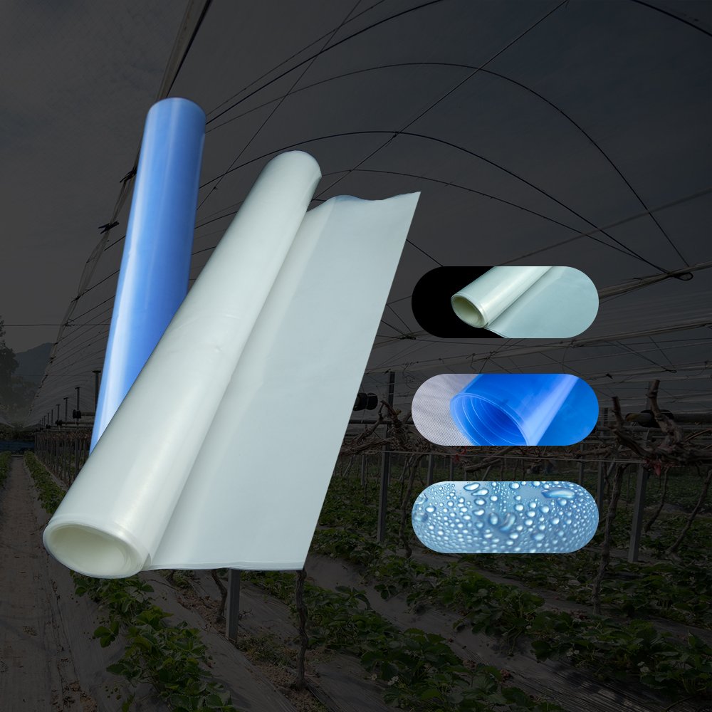 world-wide renown beautiful in colors greenhouse film for Garden seedlings