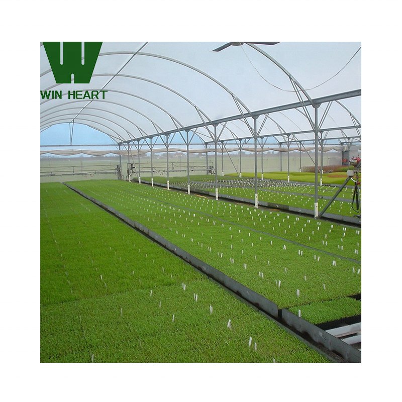 horticulture tropical greenhouse price serre agricole