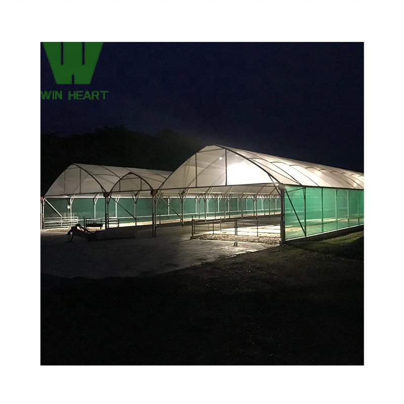 horticulture tropical greenhouse price serre agricole
