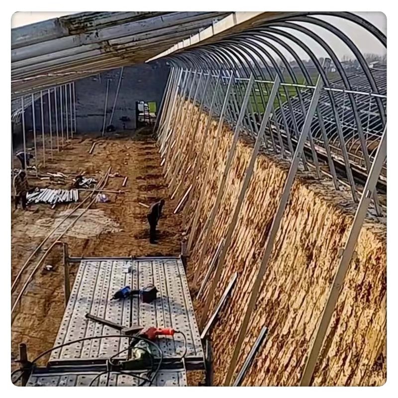 Single Layer Intelligent System Durable Steel Film Agriculture Plant Large Chicken House Poultry Breeding Greenhouse Made China