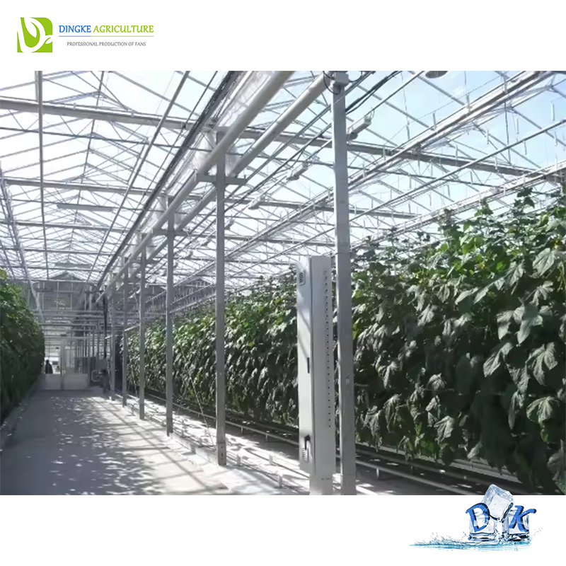 Agricultural Venlo Hydroponic Glass Green House for Flower Vegetables Growing
