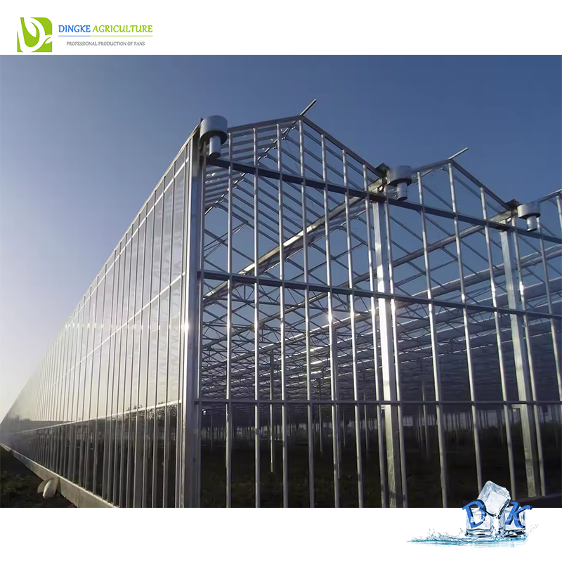 Agricultural Venlo Hydroponic Glass Green House for Flower Vegetables Growing