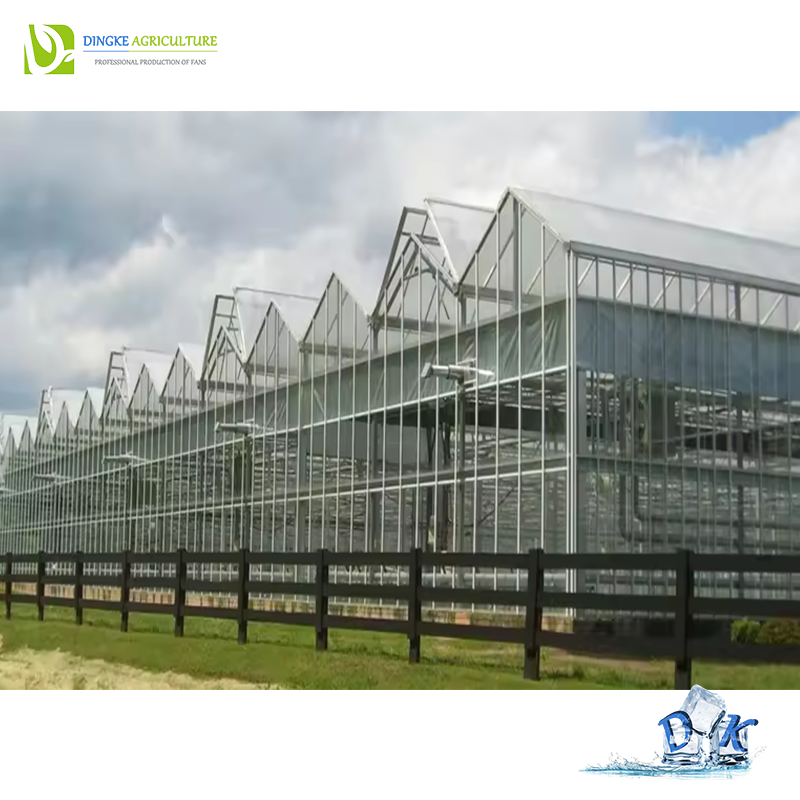 Agricultural Venlo Hydroponic Glass Green House for Flower Vegetables Growing