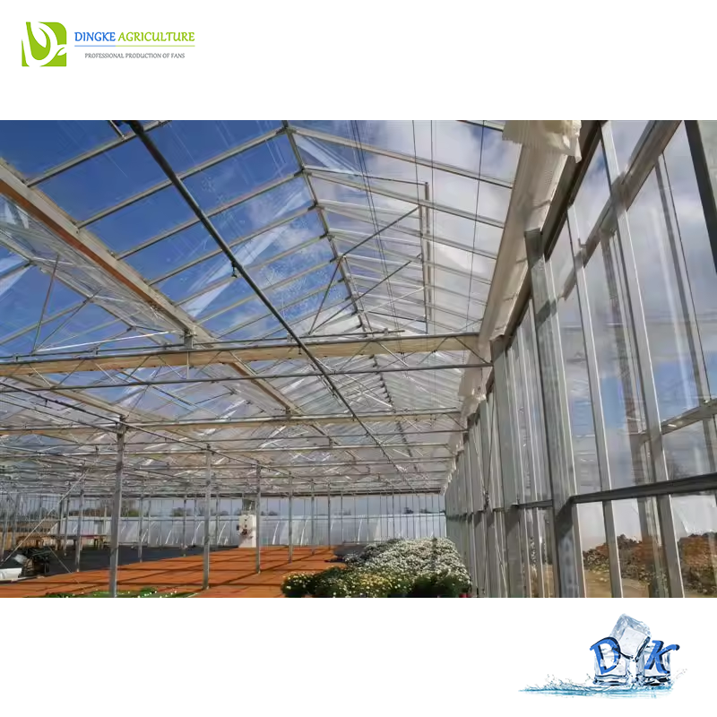Agricultural Venlo Hydroponic Glass Green House for Flower Vegetables Growing