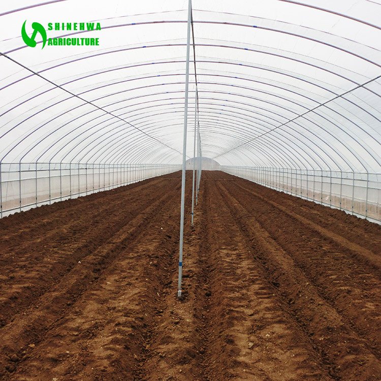 Tunnel commercial hoops hot sale galvanized steel greenhouse for agriculture
