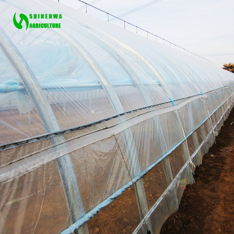 Tunnel commercial hoops hot sale galvanized steel greenhouse for agriculture