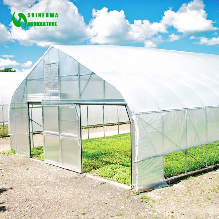 Tunnel commercial hoops hot sale galvanized steel greenhouse for agriculture
