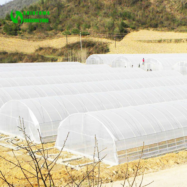 Tunnel commercial hoops hot sale galvanized steel greenhouse for agriculture
