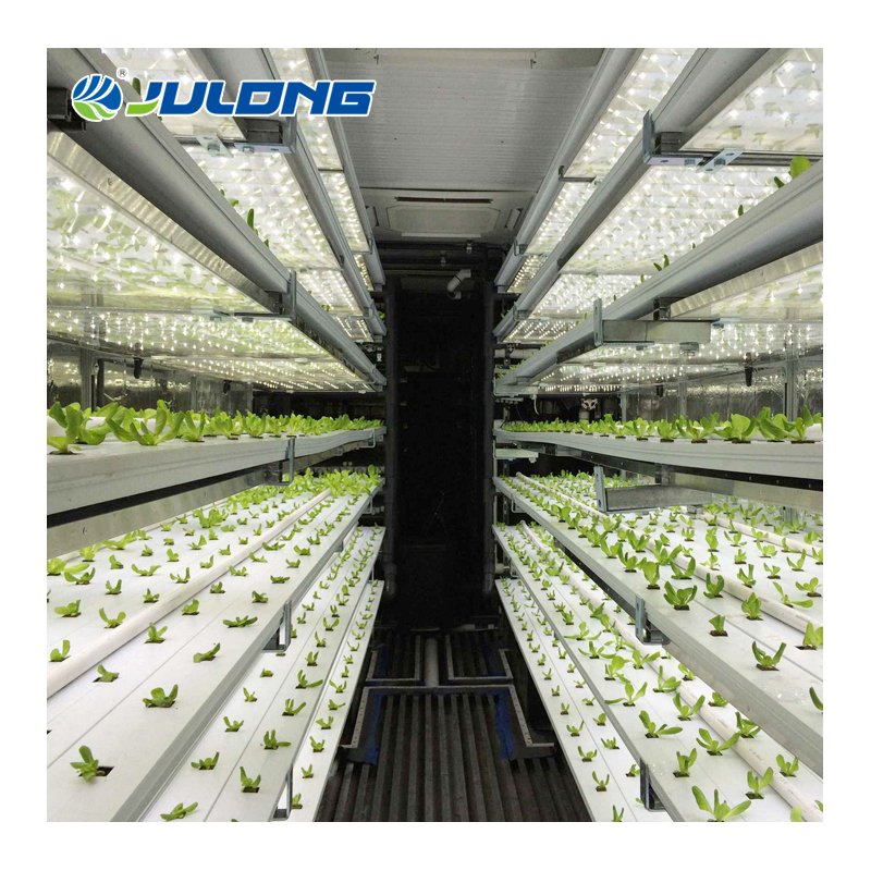 Smart Farm Container Vertical Farming Shipping Container Farm Green House