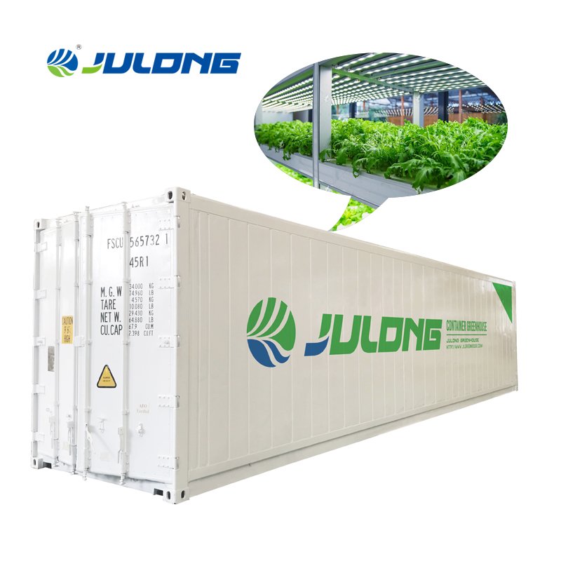 Smart Farm Container Vertical Farming Shipping Container Farm Green House