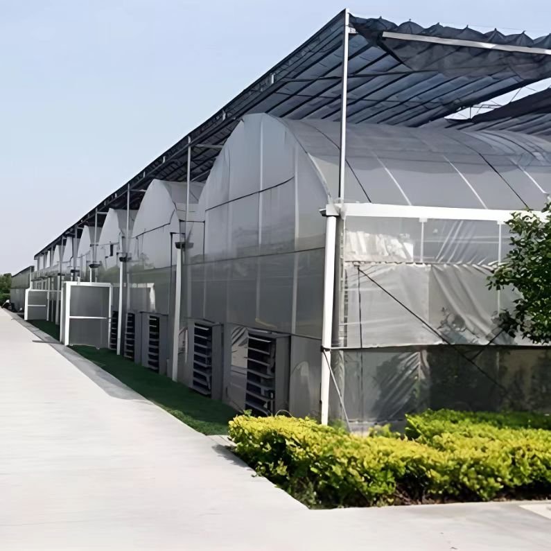 Economical Intelligent System Large Size Low Price Tomato Agricultural Film Made Plastic Steel Glass Multi Span Greenhouse