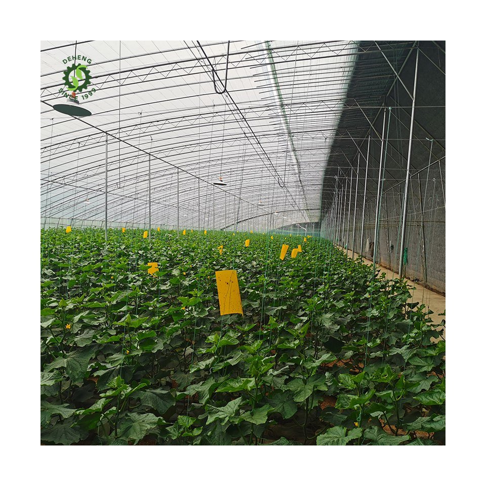 New Technology Professional Manufacturing Low Cost Agricultural Greenhouse Tunnel Greenhouses For Vegetable Garden